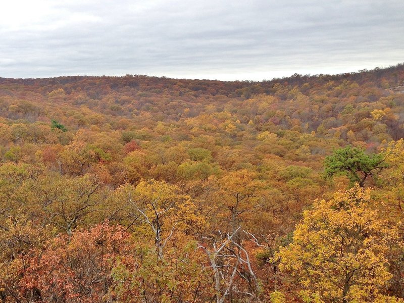 Enjoy vibrant autumn views on Norvin Green State Forest's Hewitt-Butler trail.