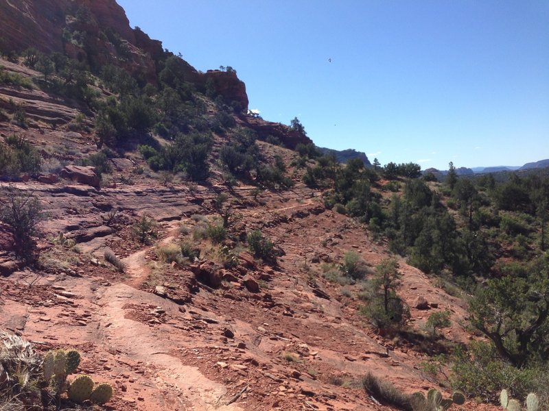 This is one of many of the sweet sections of the Mescal Trail.