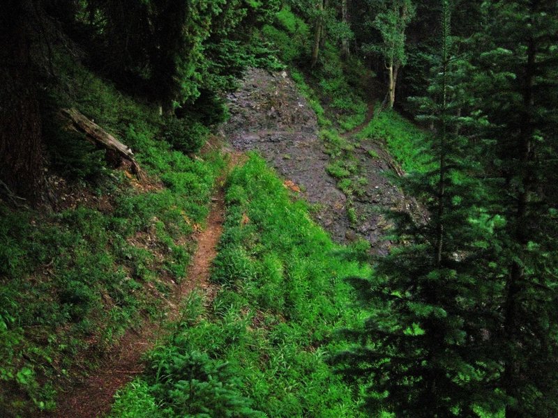 Nearing the end, this questionable traverse across what looks to me like an avalanche chute turned me around twice this winter, but garners no issues come summer.