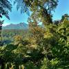 Enjoy a glimpse of the Tasman Mountains through the thick vegetation at the start of the Heaphy Track.