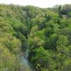 Enjoy a great view down into the Gorge at Fourmile Creek.