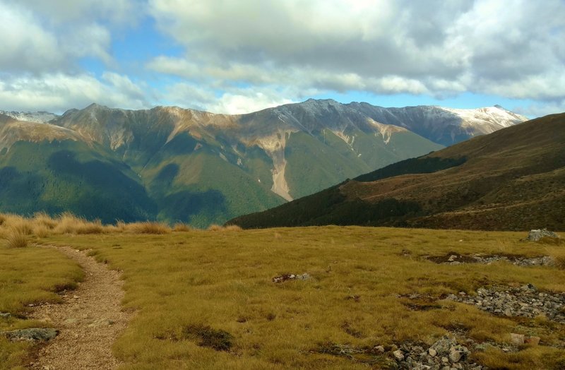 The northern end of the Southern Alps unfold to the south (right) when seen from Paddy's Track.