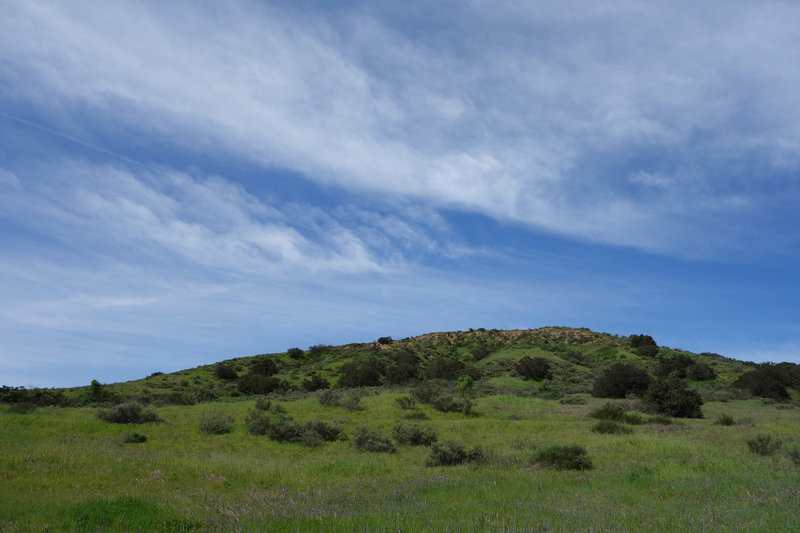 A verdant hillside provides a pretty view along Spring Canyon at Mission Trails Regional Park.