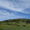 A verdant hillside provides a pretty view along Spring Canyon at Mission Trails Regional Park.