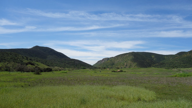 Enjoy verdant views in Mission Trails Regional Park.