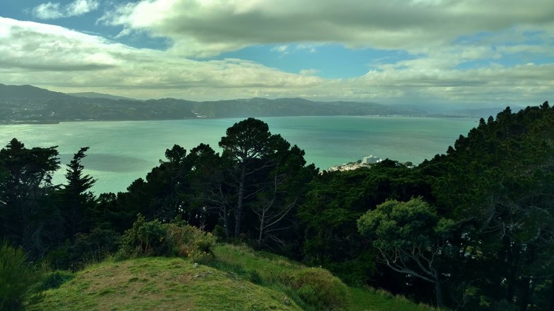 From Mt. Victoria Lookout, you can view Outer Wellington Harbor on the way to the channel and Cook Strait.