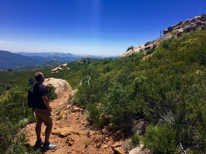 A hiker looks off toward the ocean.