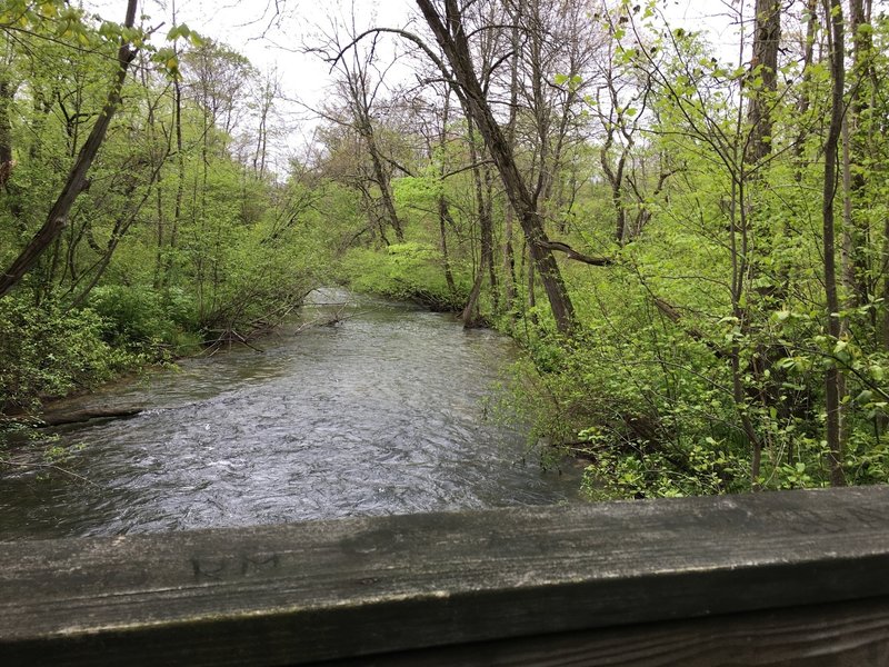 Indian Creek is beautiful in the springtime.