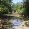 Bull Creek flows gently near the crossing.