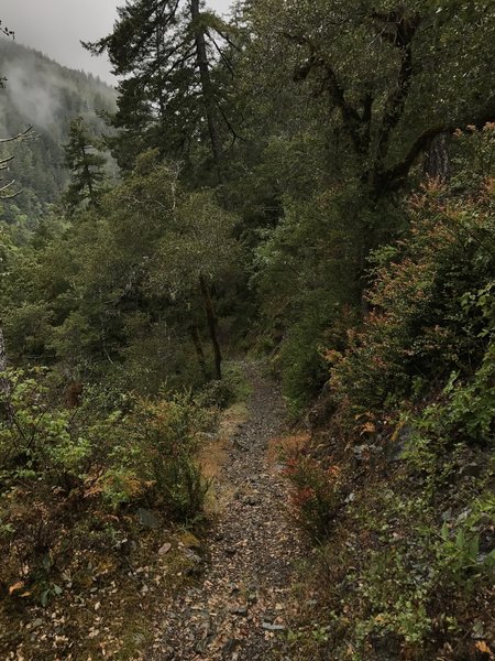 The Craigs Creek Trail is occasionally caught in a blanket of fog, further adding to its mystique.