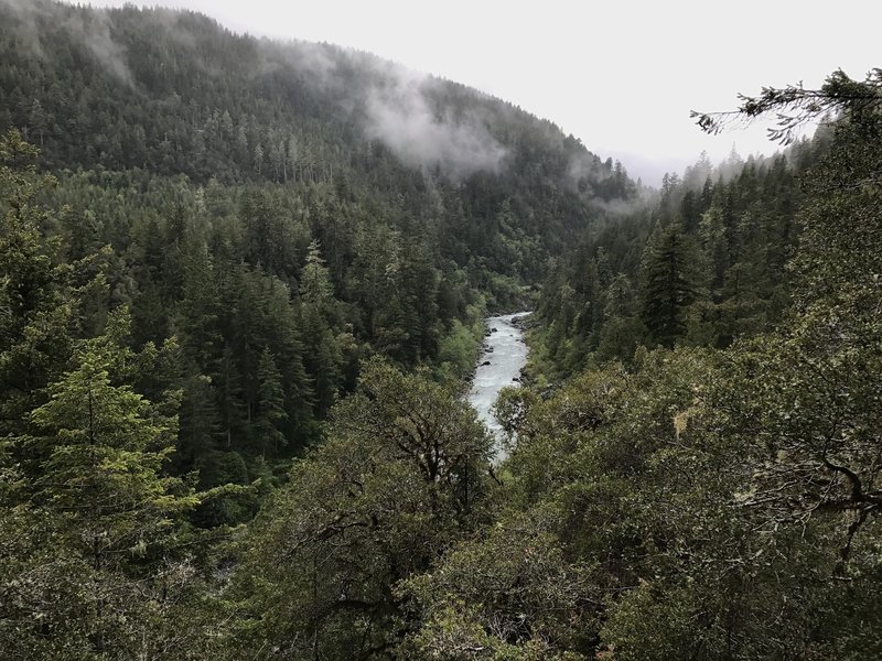 Experience the flowing South Fork Smith River from high up on the Craigs Creek Trail.