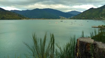 Boats can be seen moored offshore in Queen Charlotte Sound from the Queen Charlotte Track.