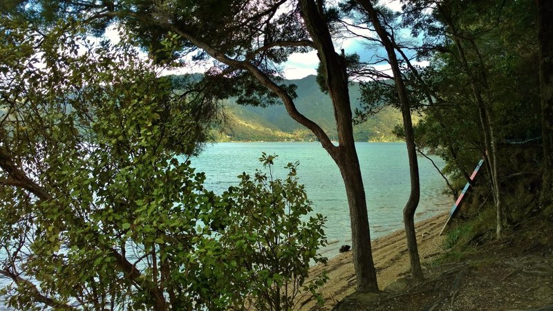 There's a nice beach at Dave's Bay, a campground on the Queen Charlotte Track.