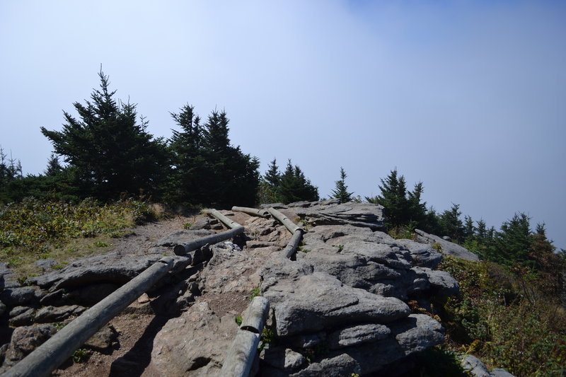 Black Mountain Crest Trail near the Mt. Craig marker.