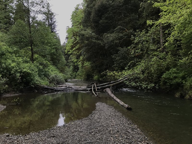 Mill Creek meanders gently into the Smith River.