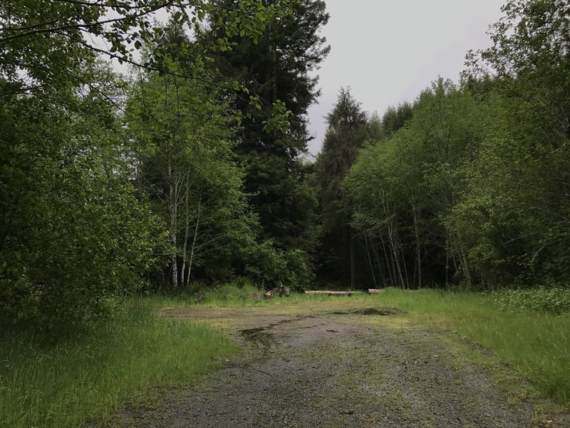 This is the Picnic Road Trailhead and parking area.