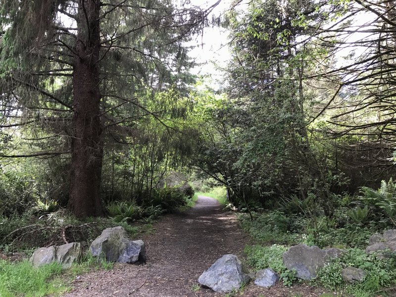 This is the Elk Head and College Cove Beach Trailhead.