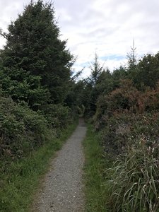Elk Head Trail traverses a nice gravel tread through its latter section.