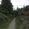 Elk Head Trail traverses a nice gravel tread through its latter section.