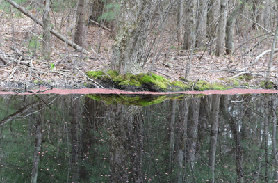 A scenic pond marks the end of the trail.