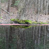 A scenic pond marks the end of the trail.