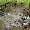 Gordons Brook is quite scenic in the spring.