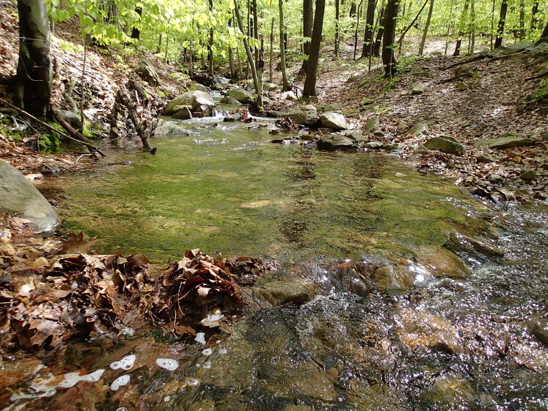 The crossing at Squirrel Hollow Brook is usually straightforward.