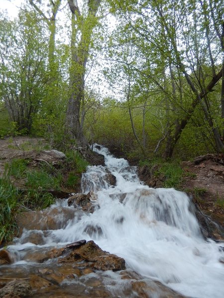 A small waterfall greets you near the beginning of the Grandeur Peak Trail.