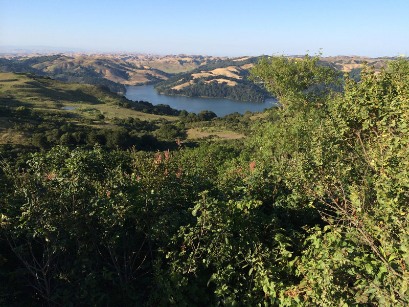 Enjoy a great view of San Pablo Dam from the Peace Circle.