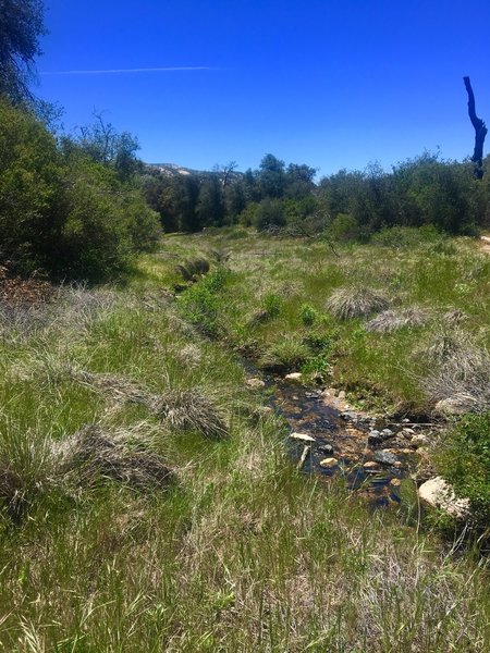 Descanso Creek is small yet beautiful.