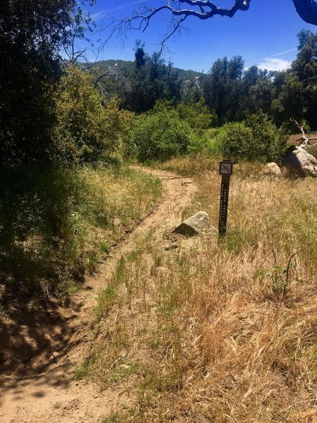 The start of the Upper Descanso Creek Trail is marked by this sign.