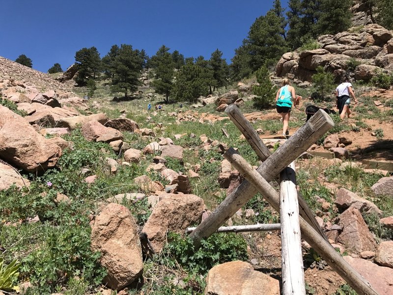 Heading up the steeper Switchback Trail on the side of the dam to the reservoir, keep your eyes peeled for lizards! (Photo taken when dogs were permitted, before 5/15/23).