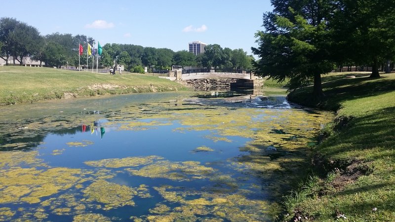 Cottonwood Park is home to a lovely pond.