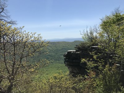 The views from Big Schloss are pretty iconic!
