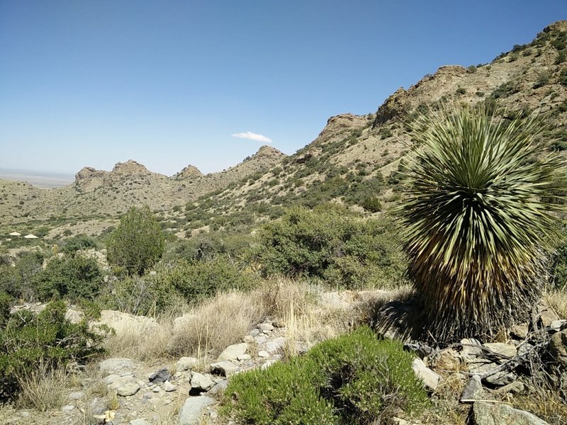 The scenery is beautiful on the south side of the canyon.