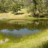 A small pond forms near the middle portion of the trail.