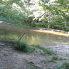 The trails fork at Gans Creek. If you're doing the Shooting Star Loop, do not cross. Crossing here connects to the Wagonwheel Trailhead.