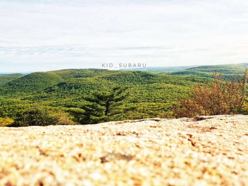 Enjoy beautiful views from the top of Bear Mountain.