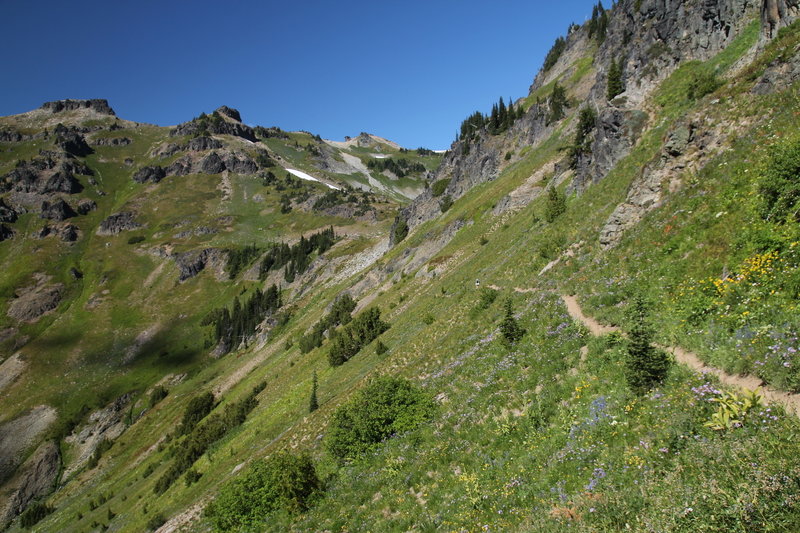 Climb through verdant meadows to Jordan Basin.