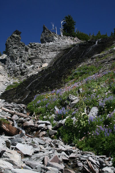 Waterfalls and wildflowers abound!