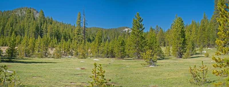 Long Meadow is quite beautiful.