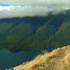 High on Paddy's Track, look down at Lake Rotoiti and the forested hills on its far side.