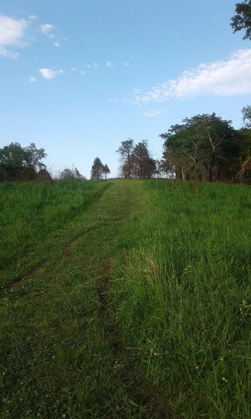 The High Ridge Trail Connector follows a mown-grass path that shaves off a portion of the loop.