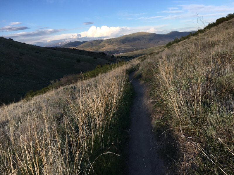 You can catch a glimpse of Pocatello down below along the pleasant Eagle trail.