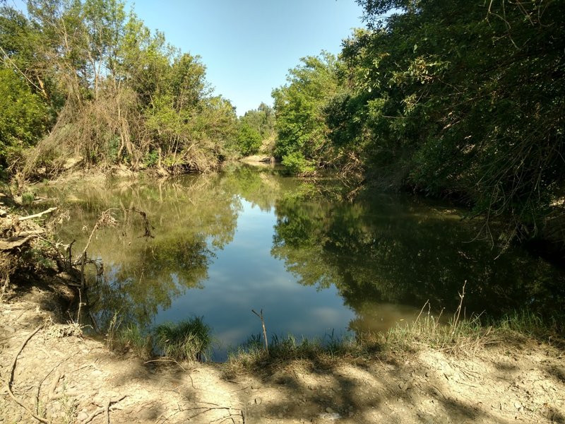 Bring your rod to this small fishing spot along Putah Creek.