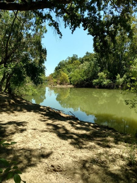Putah Creek has a few great swimming holes.