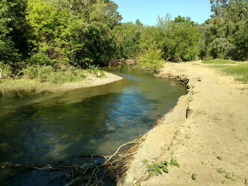 Putah Creek is quite beautiful in the spring.