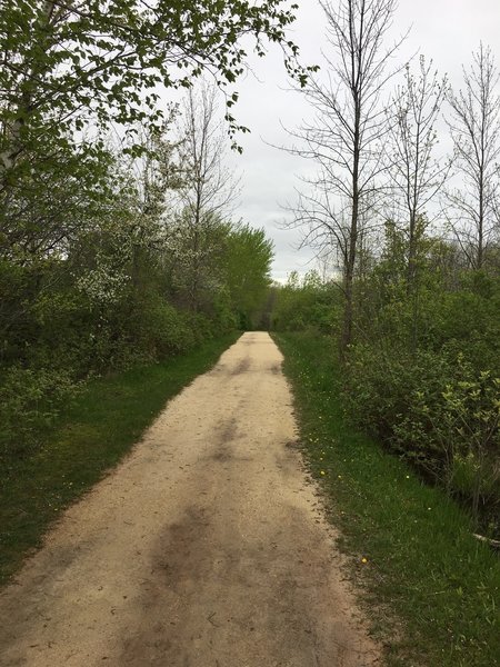 The Lions Den Trail is buffed and easy to navigate.