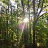 Morning sunshine greets the early risers on trail.