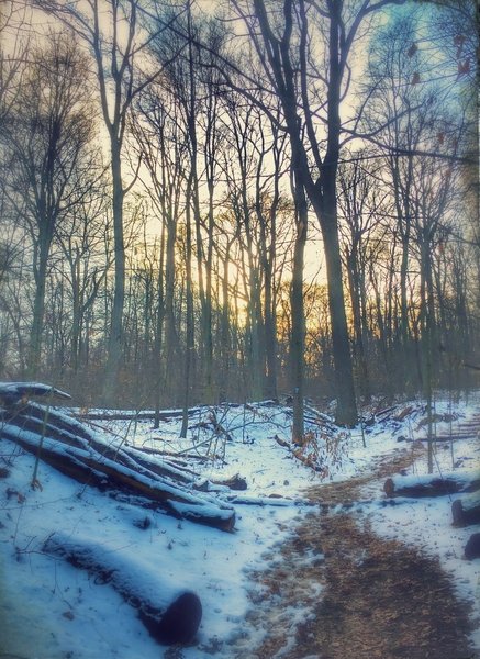 The Boone Trail takes on a new beauty in the winter.